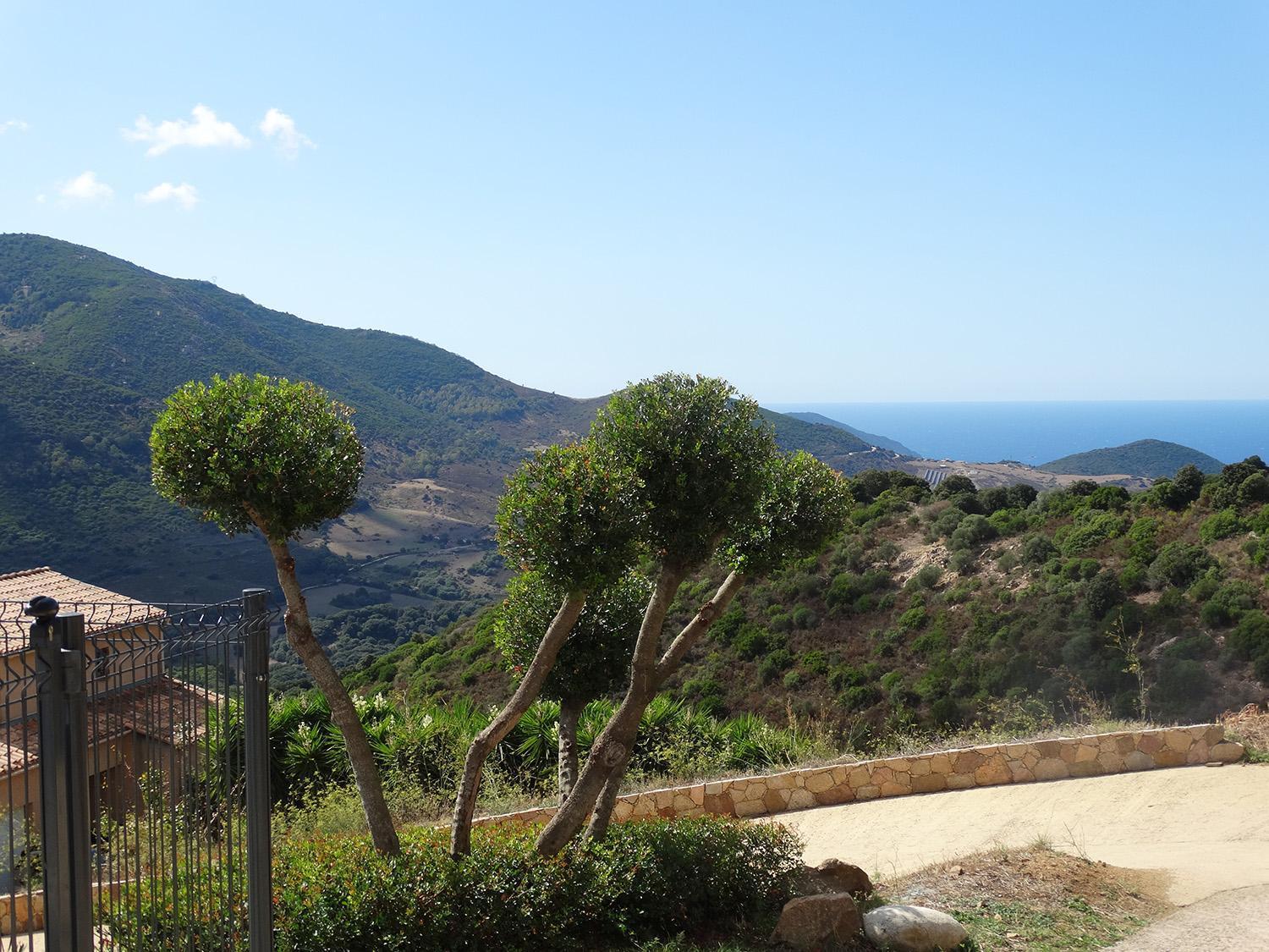 Gites Sassone, Vue Panoramique Sur Ajaccio Et La Mer Alata Exterior foto